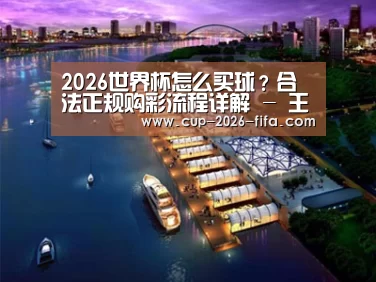 案例展示八