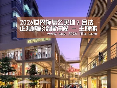 案例展示一