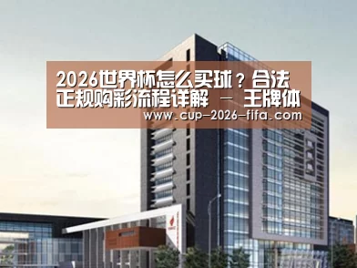案例展示七