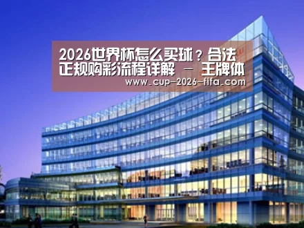 案例展示五