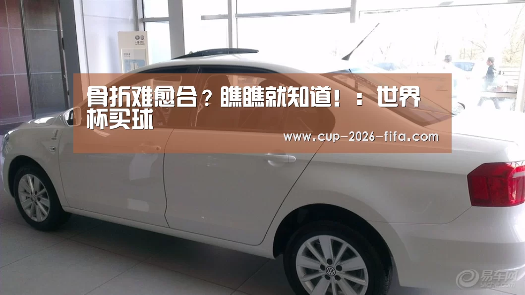 2026世界杯买球官网